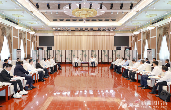 马兴瑞艾尔肯·吐尼亚孜会见中国青年企业家协会代表团